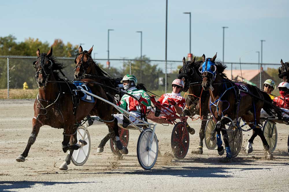 Homepage Oak Grove Racing Gaming and Hotel Oak Grove, KY
