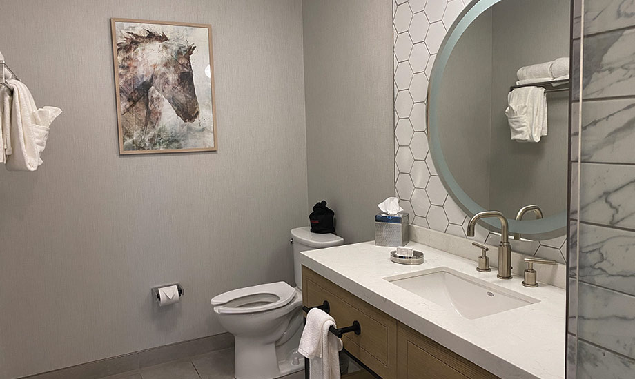 Image shows sink and toilet area of a hotel bathroom
