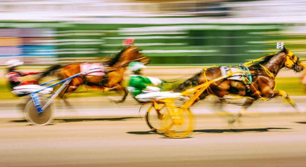 Horsemen Info at Oak Grove Gaming