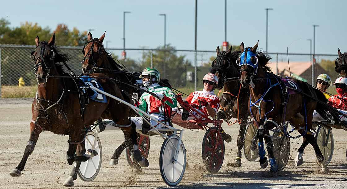Action shot of four horses and drivers during a harness race