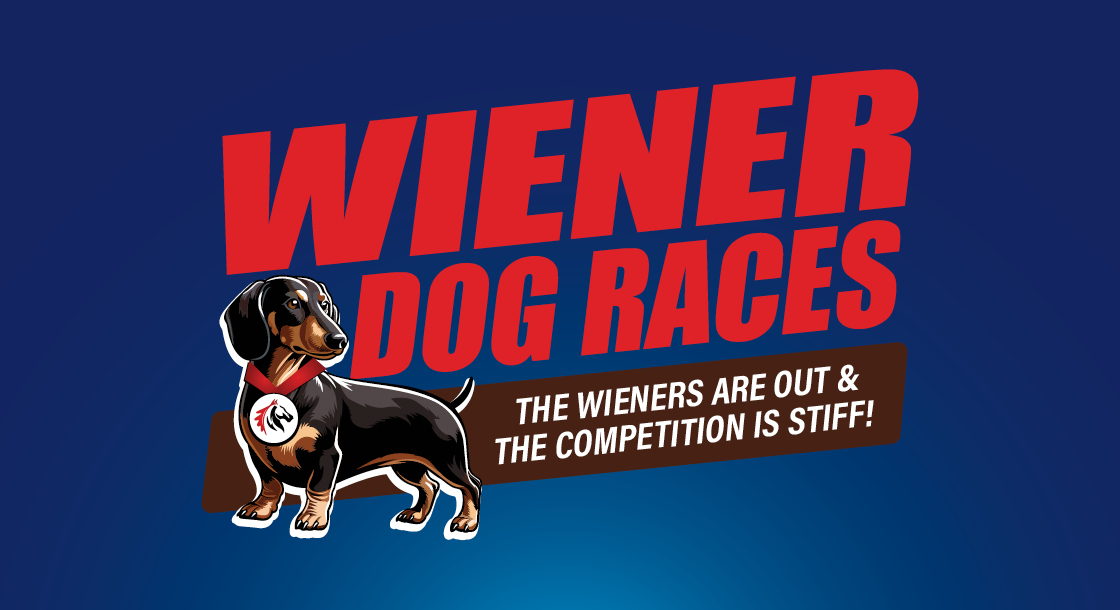 blue background with red font of text wiener dog races, the wieners are out and the competition is stiff