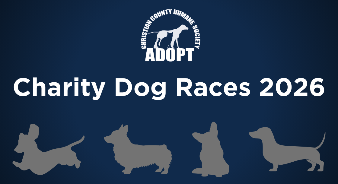 Charity Dog Races 2026 with dog silhouette