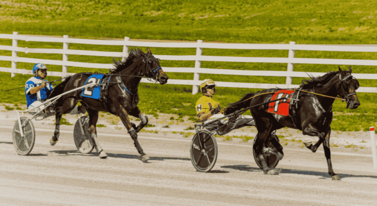 Horse Racing at Oak Grove Racing, Gaming & Hotel