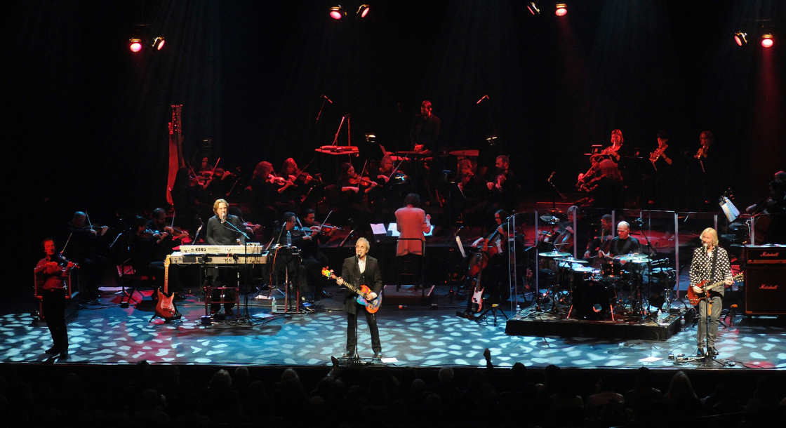 The Orchestra